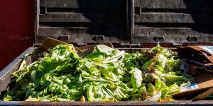 Read more about the article AI is now examining your rubbish to let fall meals wastefulness – Industry Insider