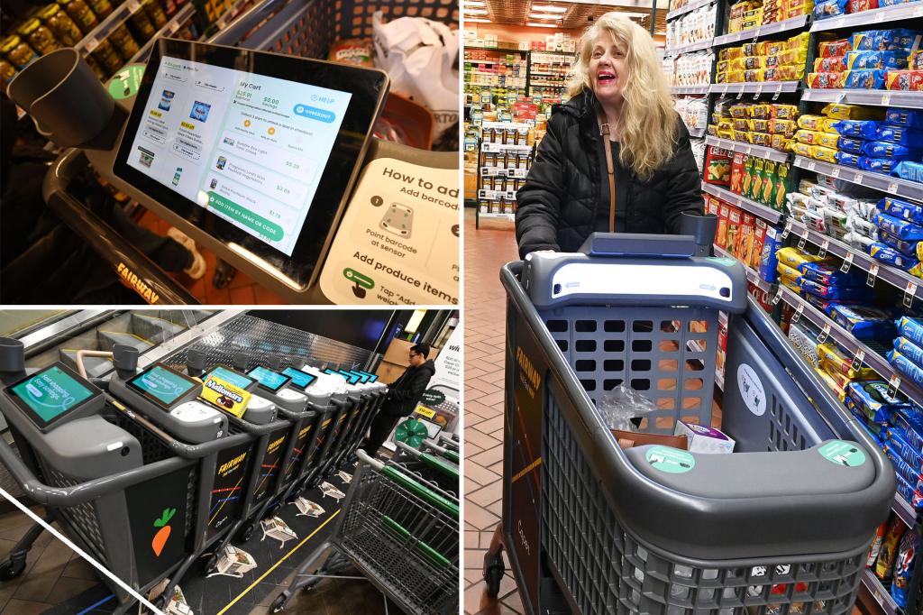 You are currently viewing Moment of buying groceries: Instacart debuts AI-driven 'intriguing carts' to NYC outlets – Fresh York Publish
